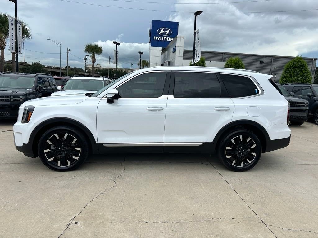 Used 2023 Kia Telluride SX Prestige with VIN 5XYP5DGC5PG406089 for sale in Metairie, LA