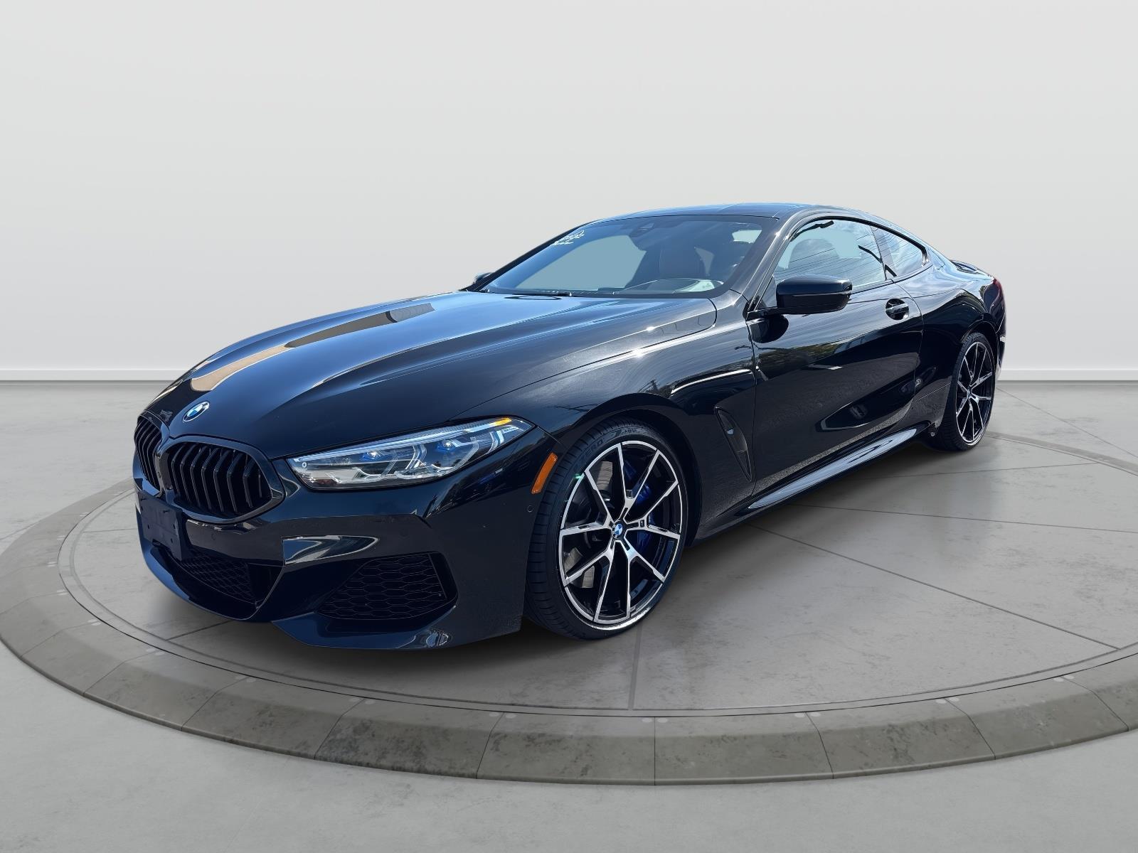 2022 BMW 8 Series M850i's photo