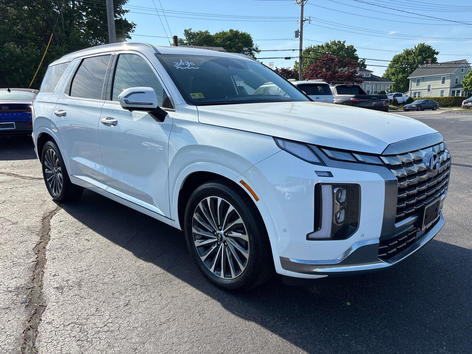 2025 Hyundai Palisade Calligraphy - Photo 6