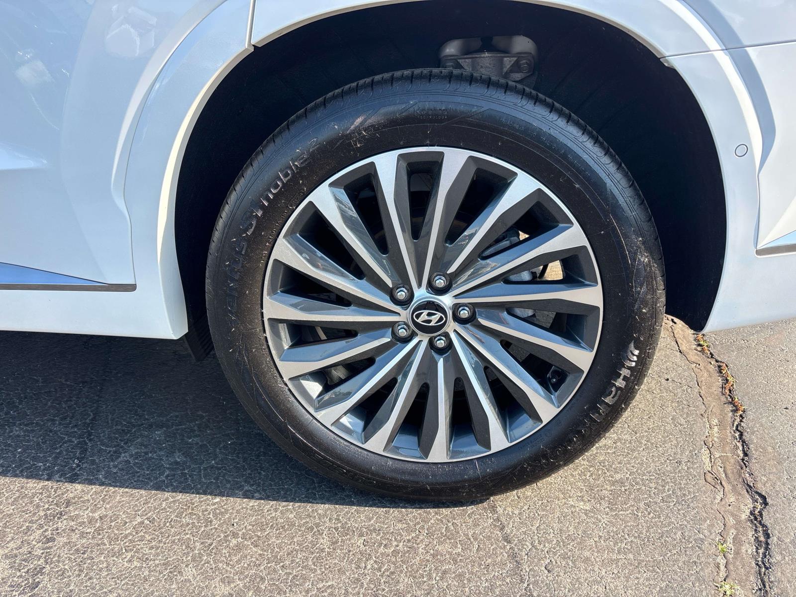 2025 Hyundai Palisade Calligraphy - Photo 7