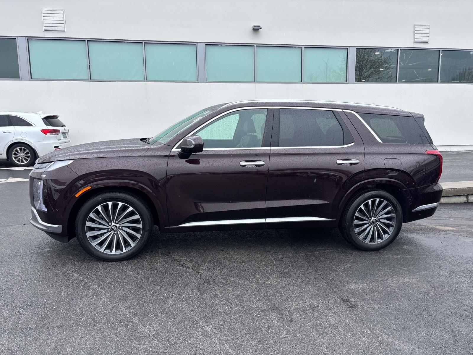 2024 Hyundai Palisade Calligraphy - Photo 6