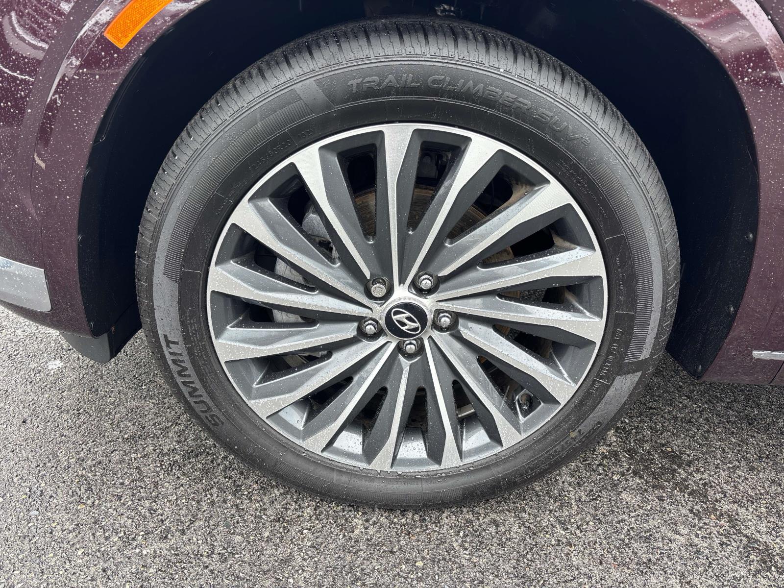 2024 Hyundai Palisade Calligraphy - Photo 7
