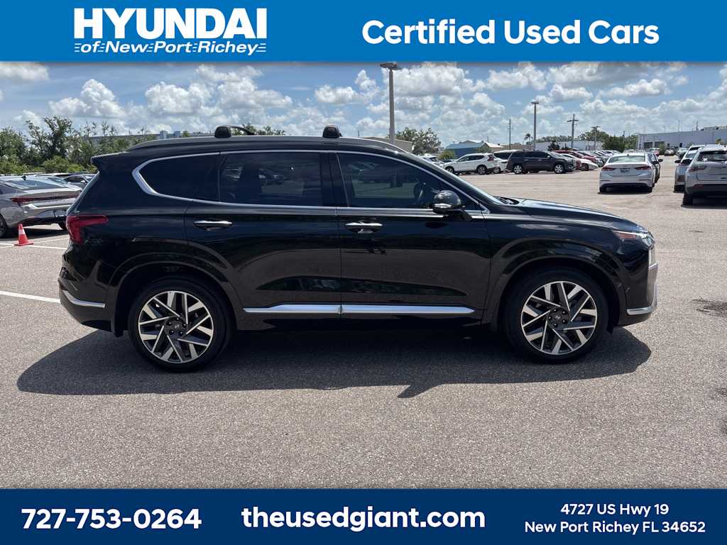 2023 Hyundai Santa Fe Calligraphy 6
