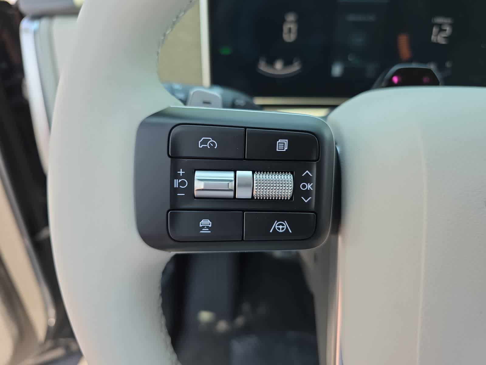 2025 Hyundai Santa Fe SEL 21