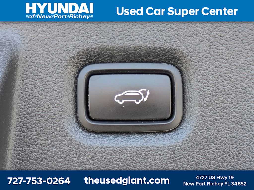 Thumbnail: 2019 Hyundai Santa Fe - 13