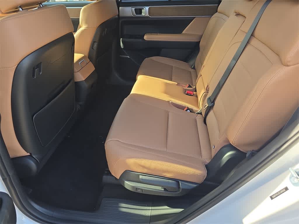 Thumbnail: 2026 Hyundai Santa Fe - 17