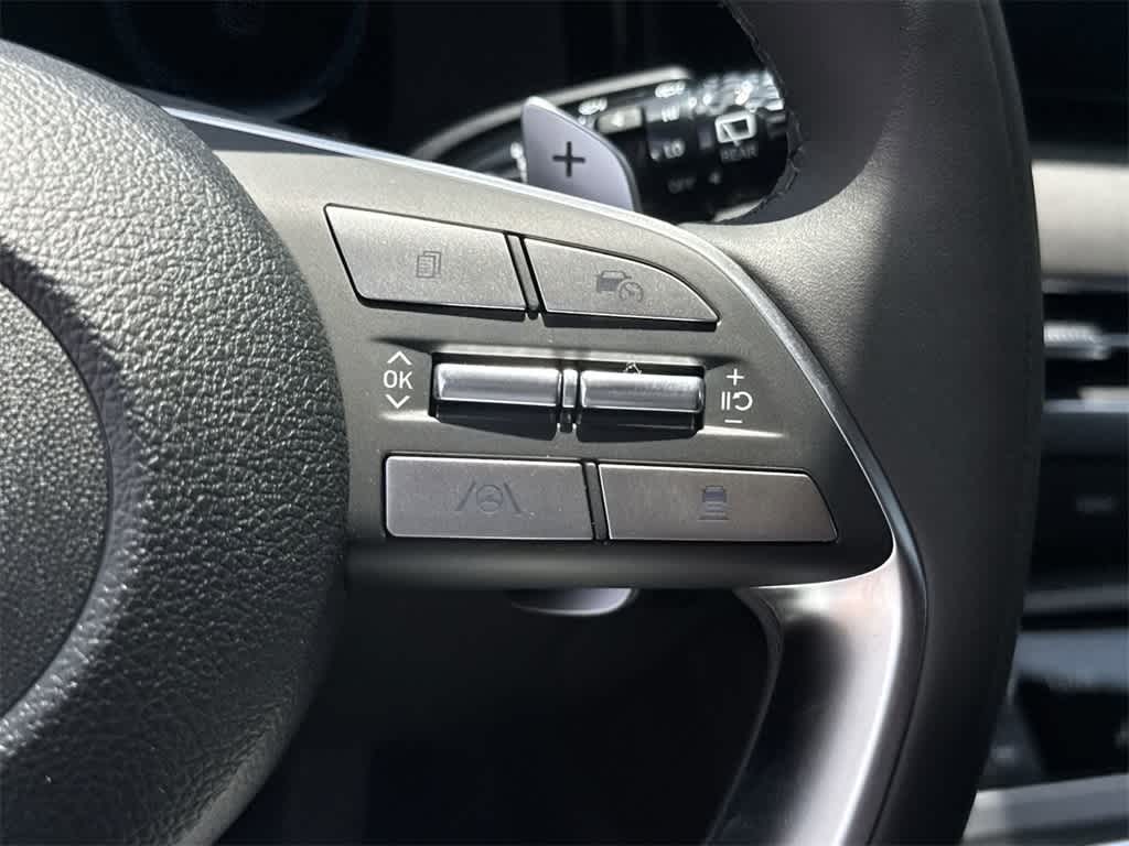 2025 Hyundai Palisade Calligraphy 24