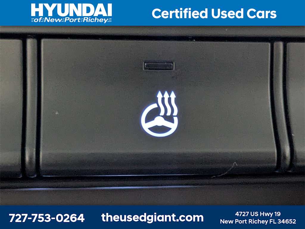 Thumbnail: 2020 Hyundai Santa Fe - 33