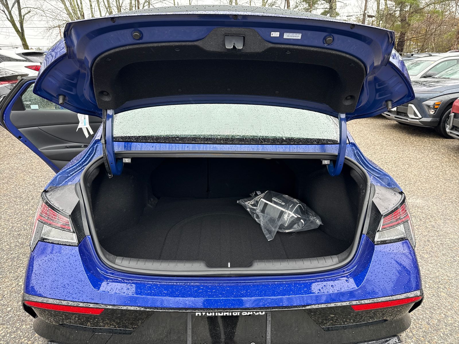 2025 Hyundai Elantra N Line - Photo 19
