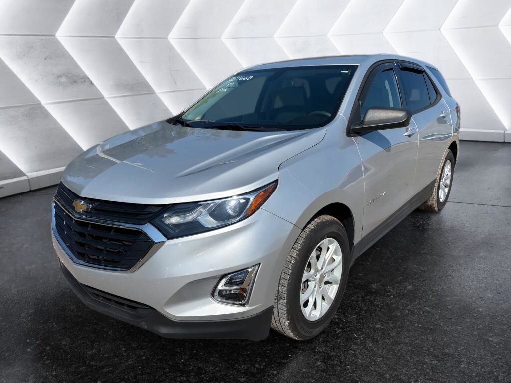 2019 Chevrolet Equinox LS photo 2