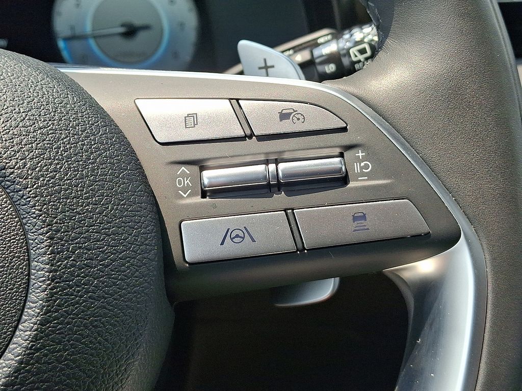 2025 Hyundai Palisade Calligraphy Night Edition - Photo 24