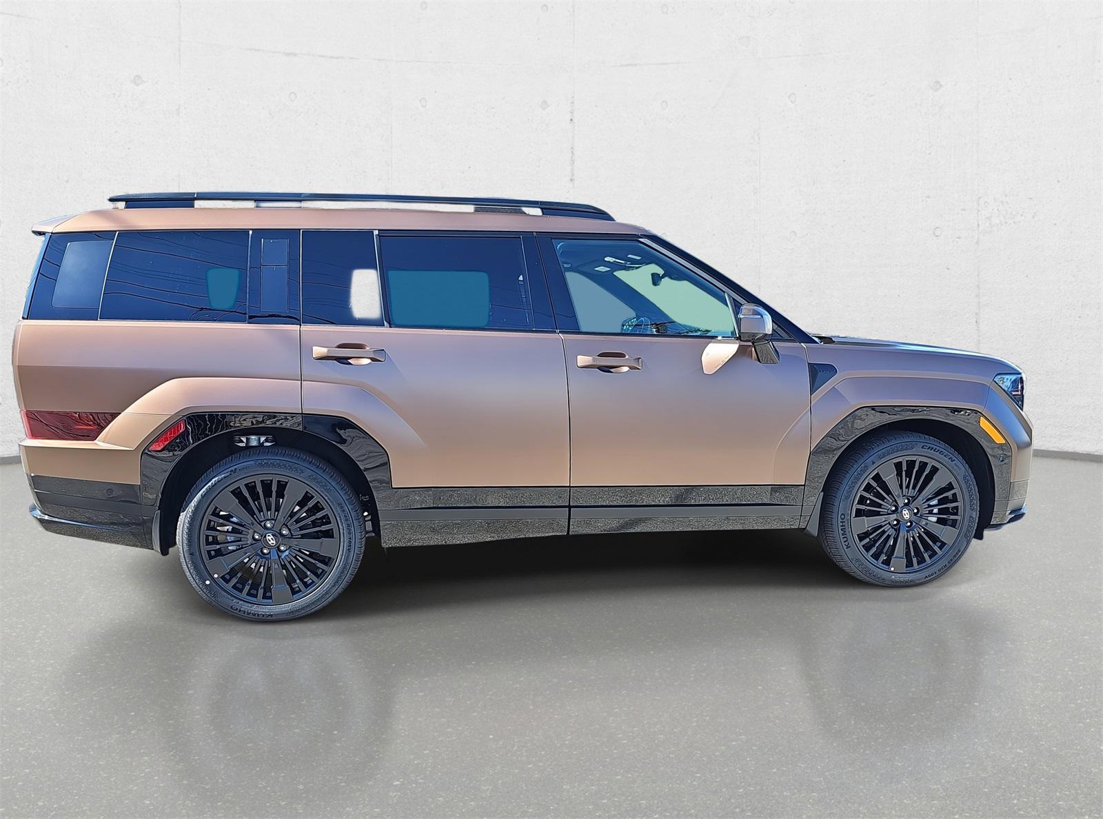 2025 Hyundai Santa Fe Calligraphy photo 2