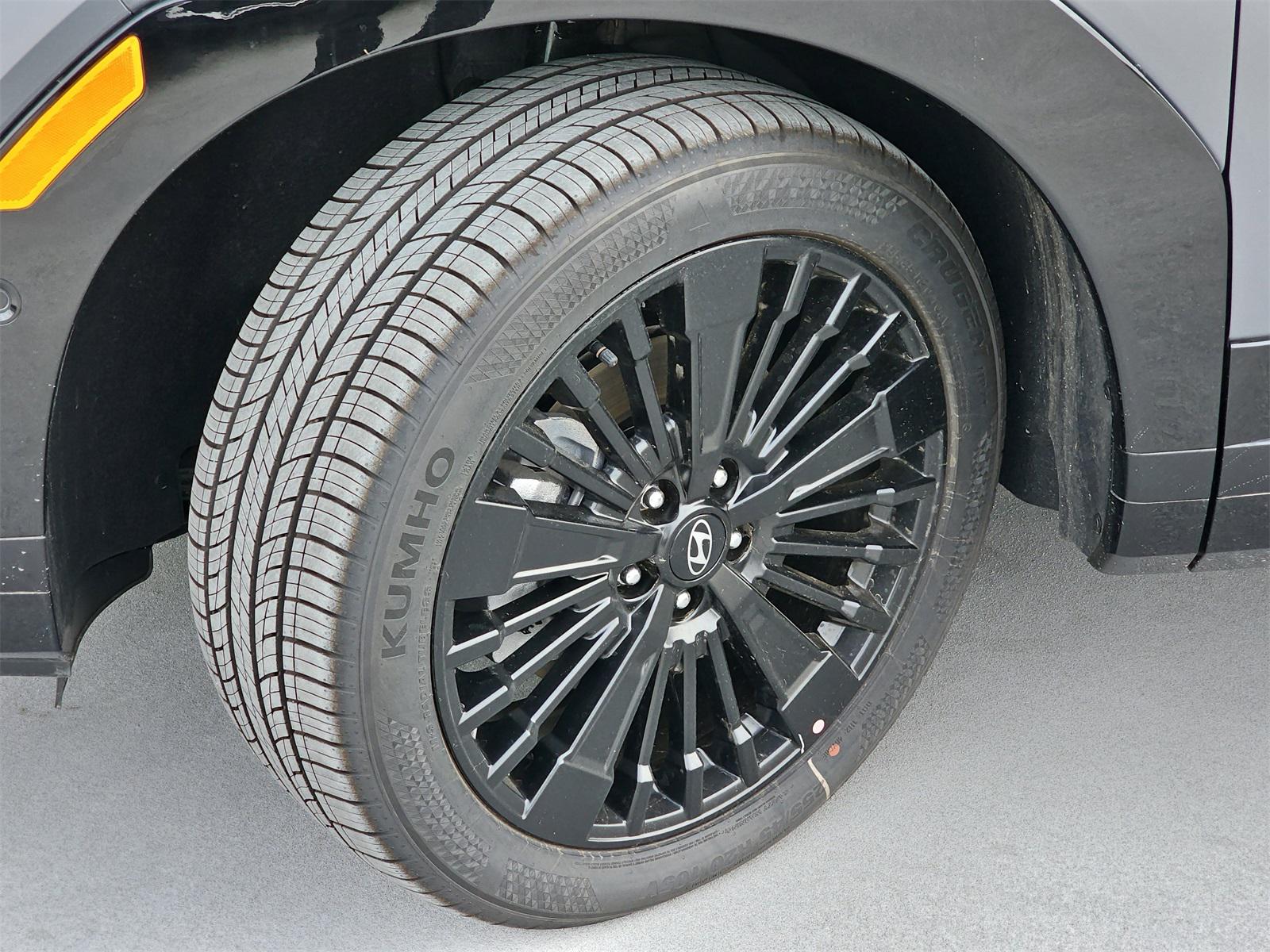 2025 Hyundai Santa Fe Calligraphy - Photo 36