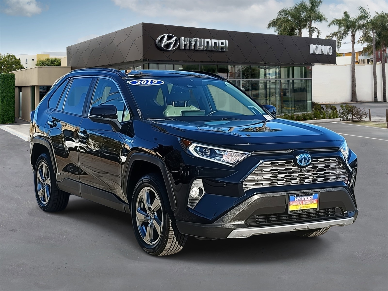 2019 Toyota RAV4 Limited's photo