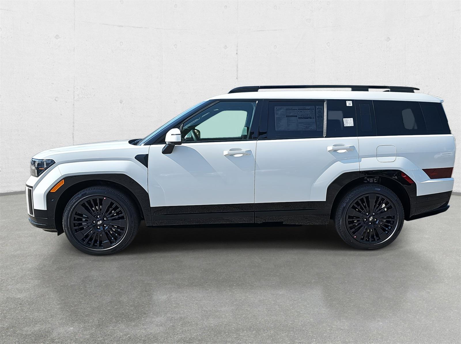 2025 Hyundai Santa Fe Calligraphy - Photo 6