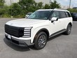 Hyundai Palisade Hybrid