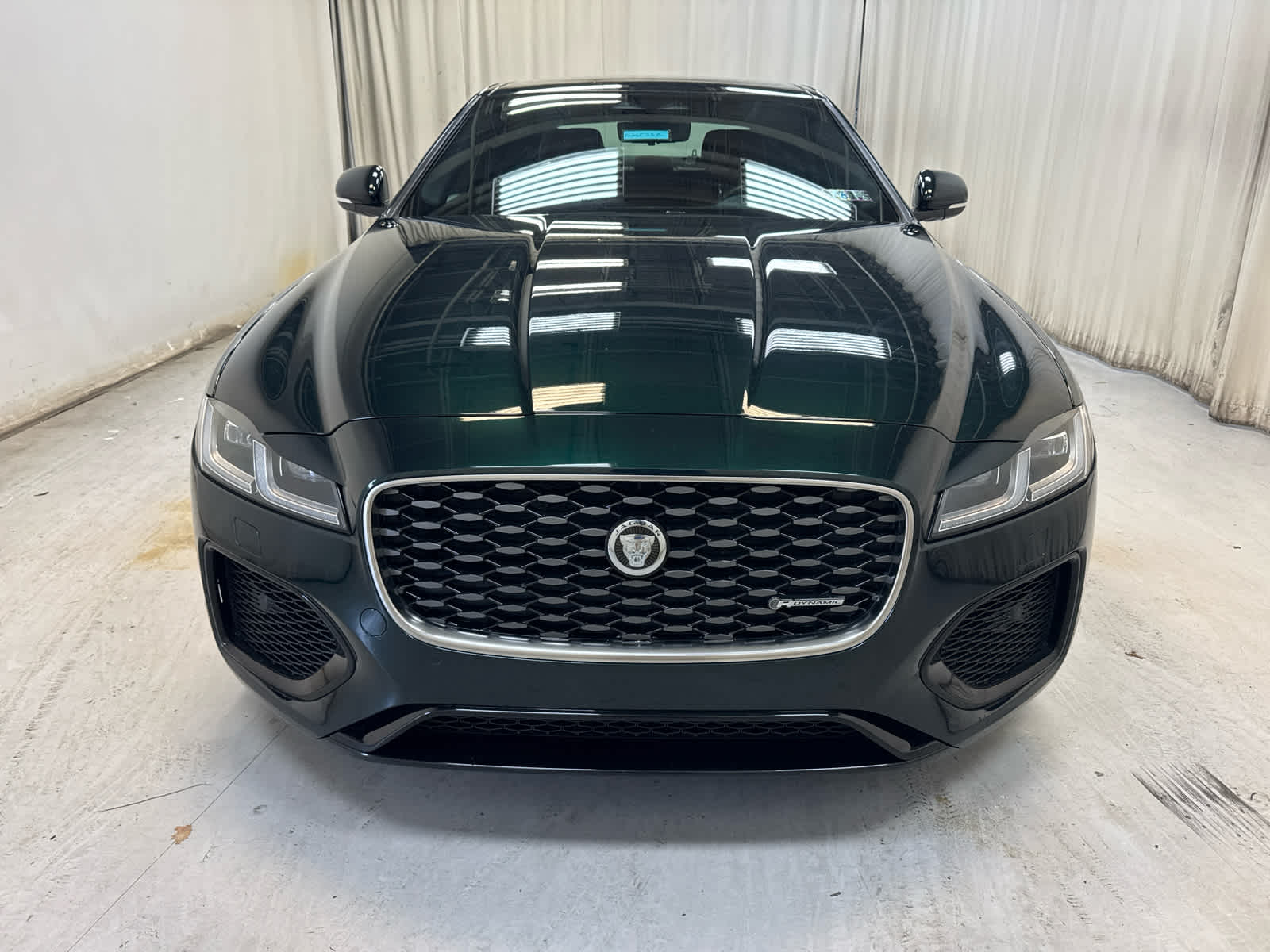 2024 Jaguar XF P300 R-Dynamic SE photo 2