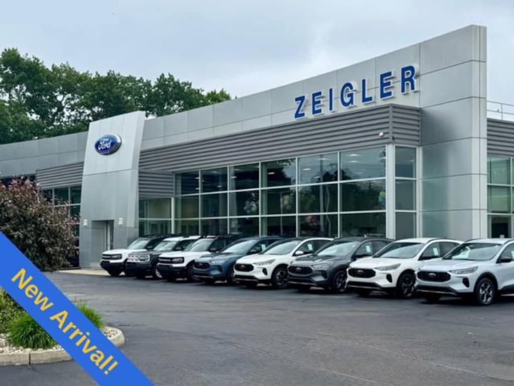 Used 2019 Ford F-150 Truck SuperCrew Cab