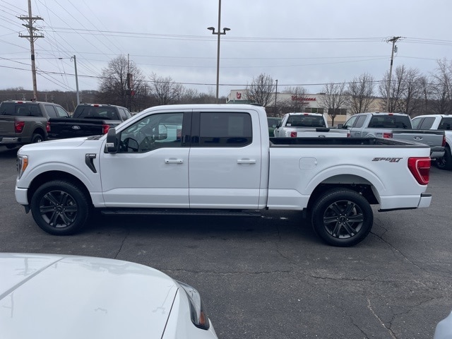 2023 FORD F-150 - Image 7