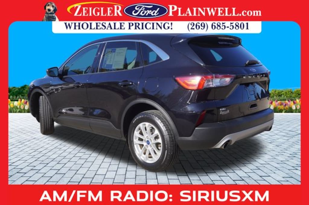 Used 2022 Ford Escape SE SUV