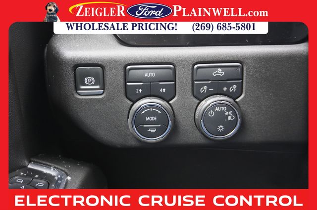 2025 CHEVROLET SILVERADO - Image 20