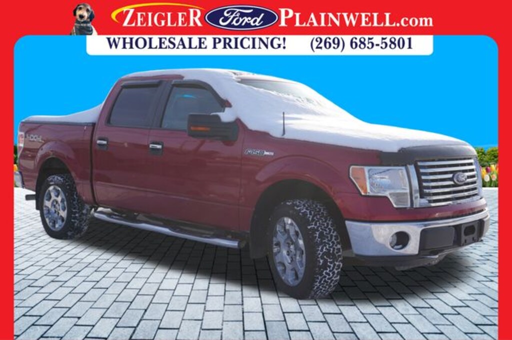Used 2010 Ford F-150 Truck SuperCrew Cab