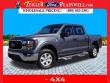 Used 2023 Ford F-150  Truck SuperCrew Cab