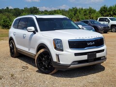 2022 Kia Telluride