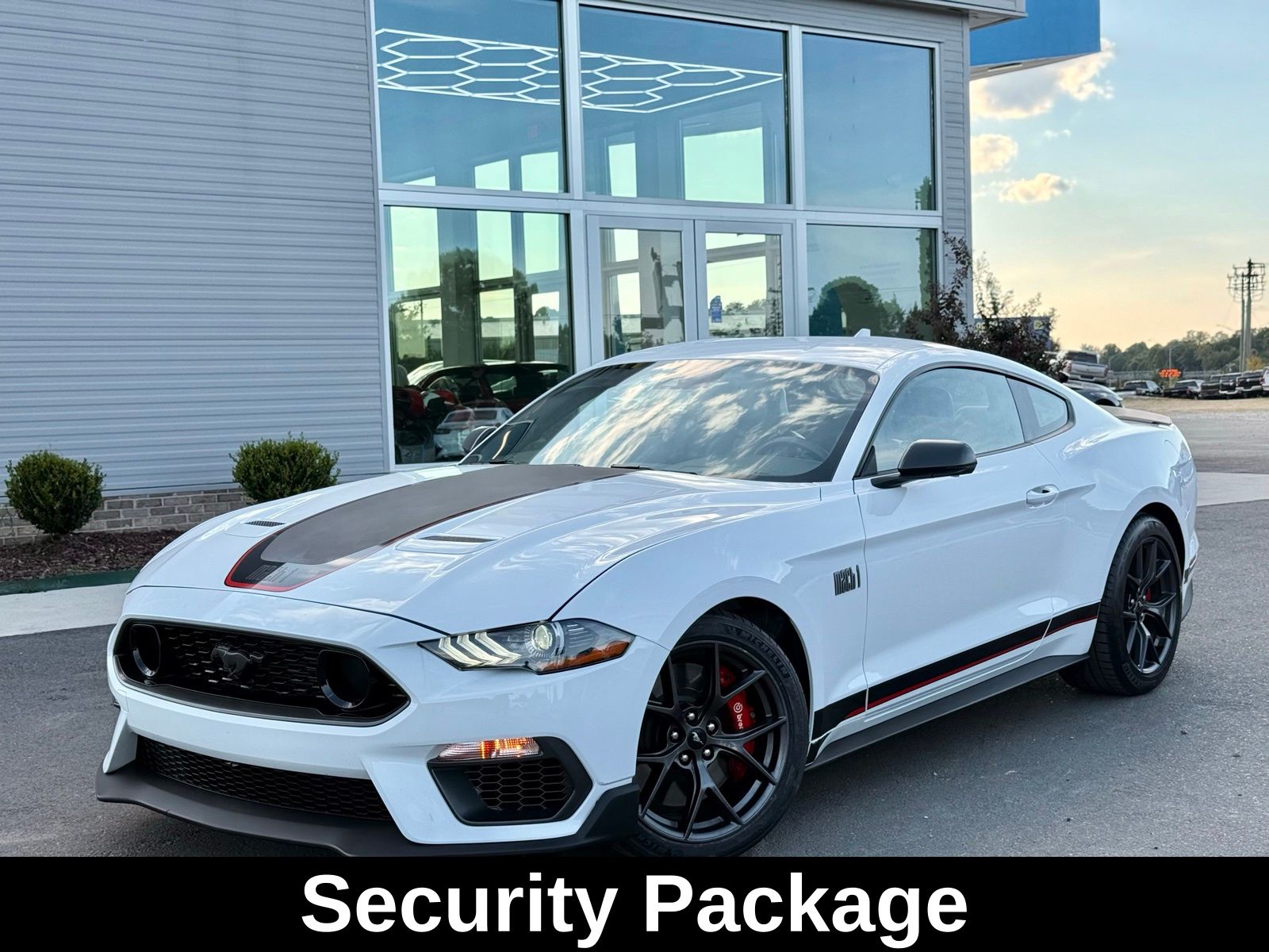2023 Ford Mustang Mach 1 photo 2