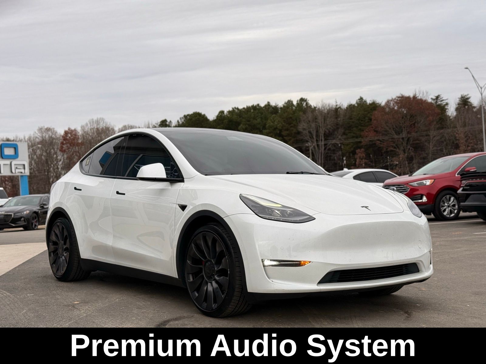 2021 Tesla Model Y Performance photo 2