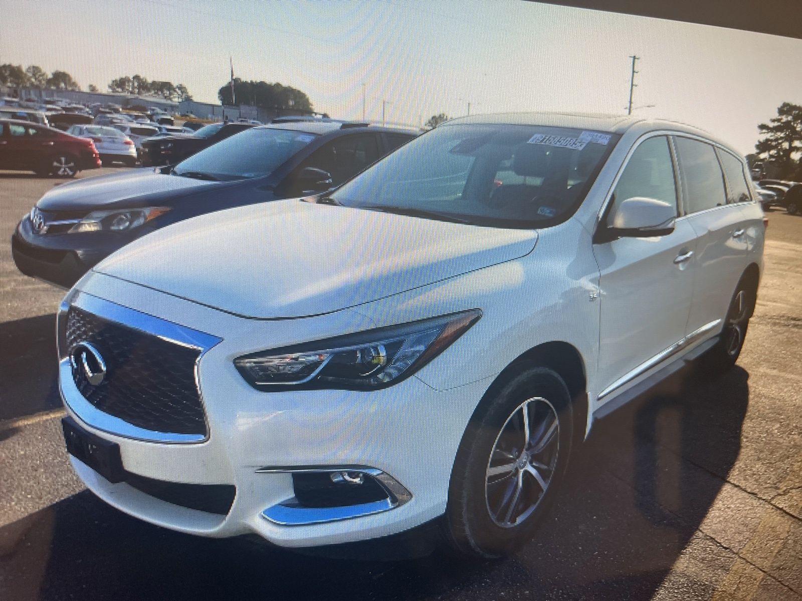 2019 INFINITI QX60 PURE's photo