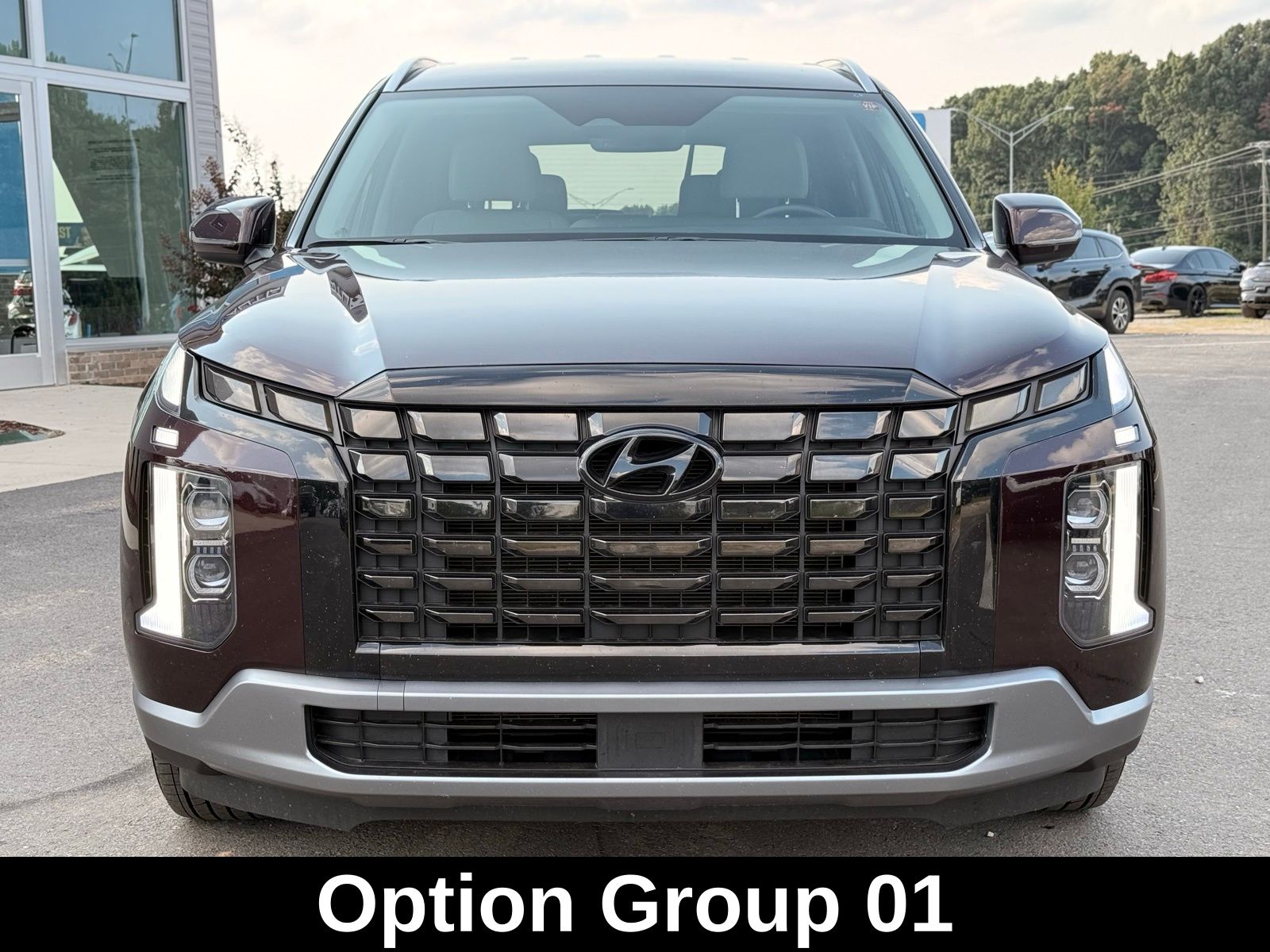 2024 Hyundai Palisade SEL photo 2