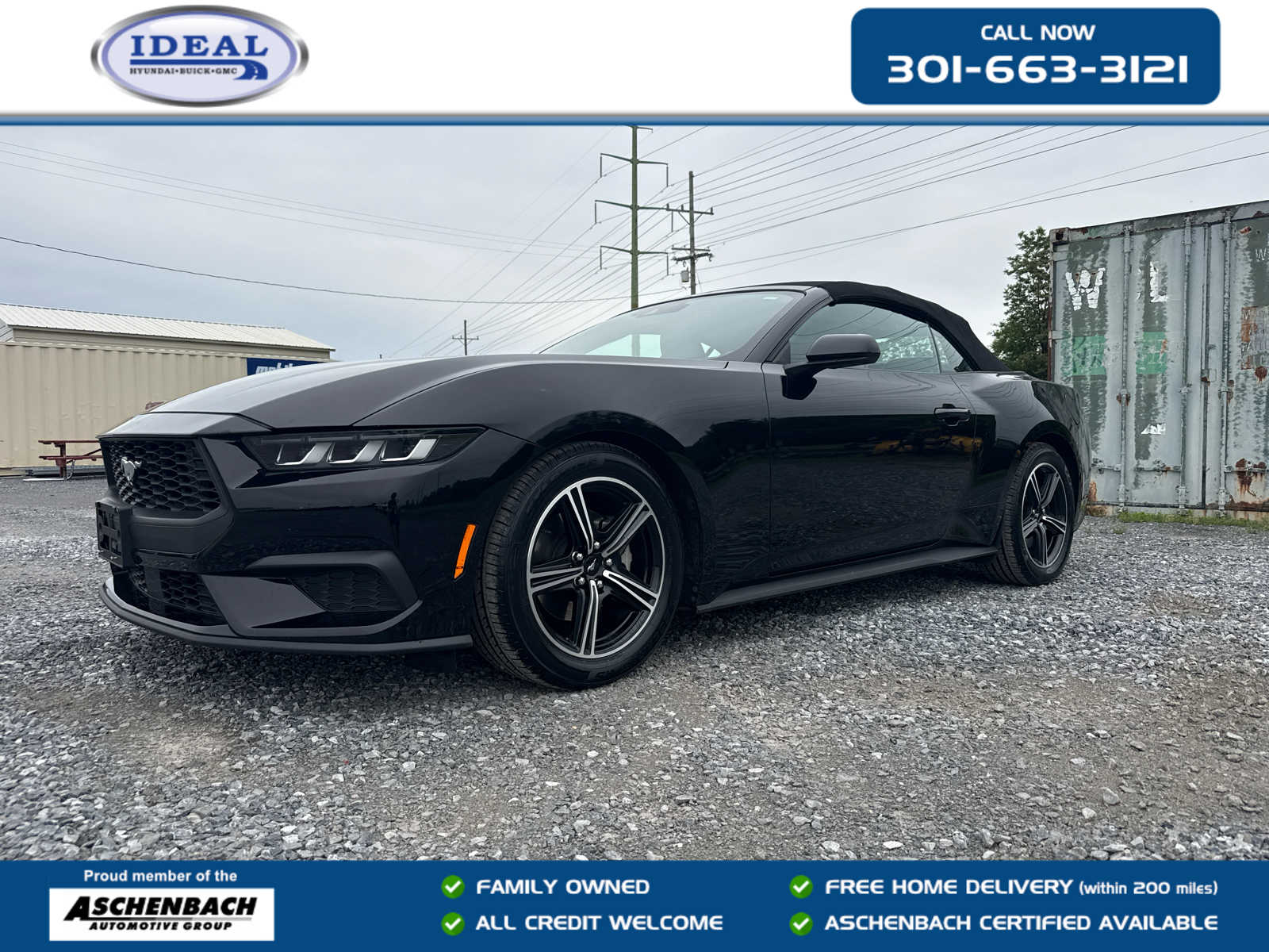2024 Ford Mustang's photo