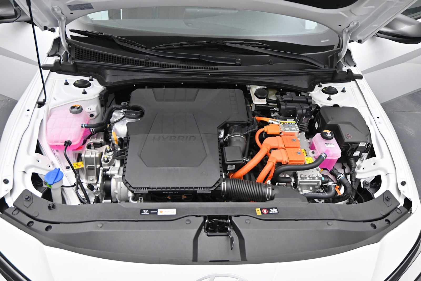 2025 Hyundai Elantra Blue - Photo 23
