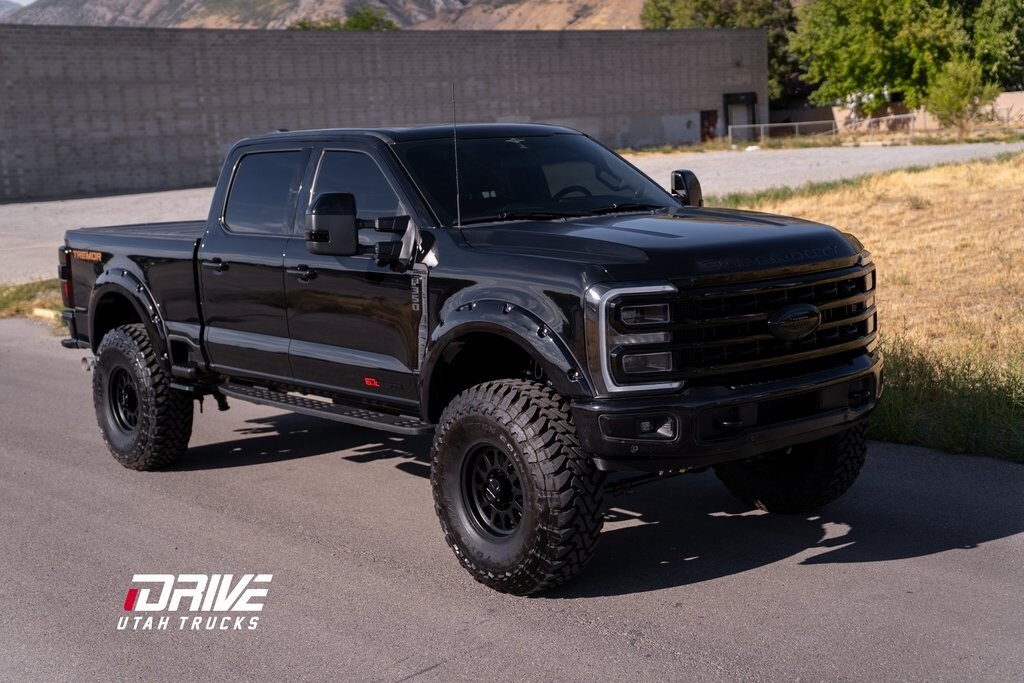 2023 Ford F-350 Platinum photo 2