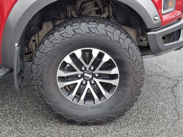 2020 Ford F-150 Raptor - Photo 8