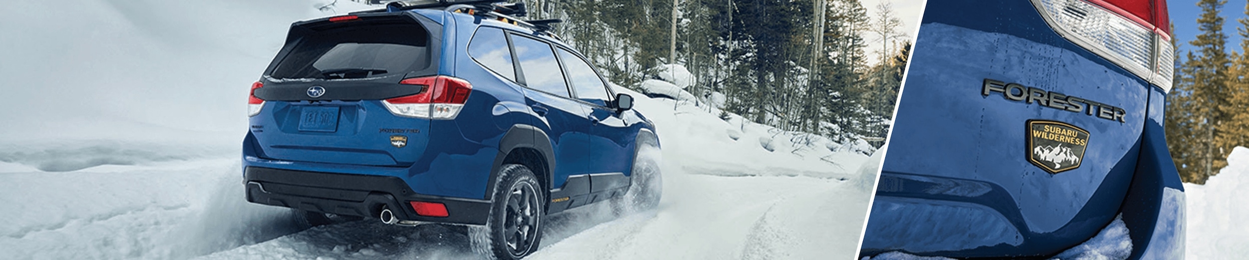 2023 Subaru Forester Wilderness Release Date