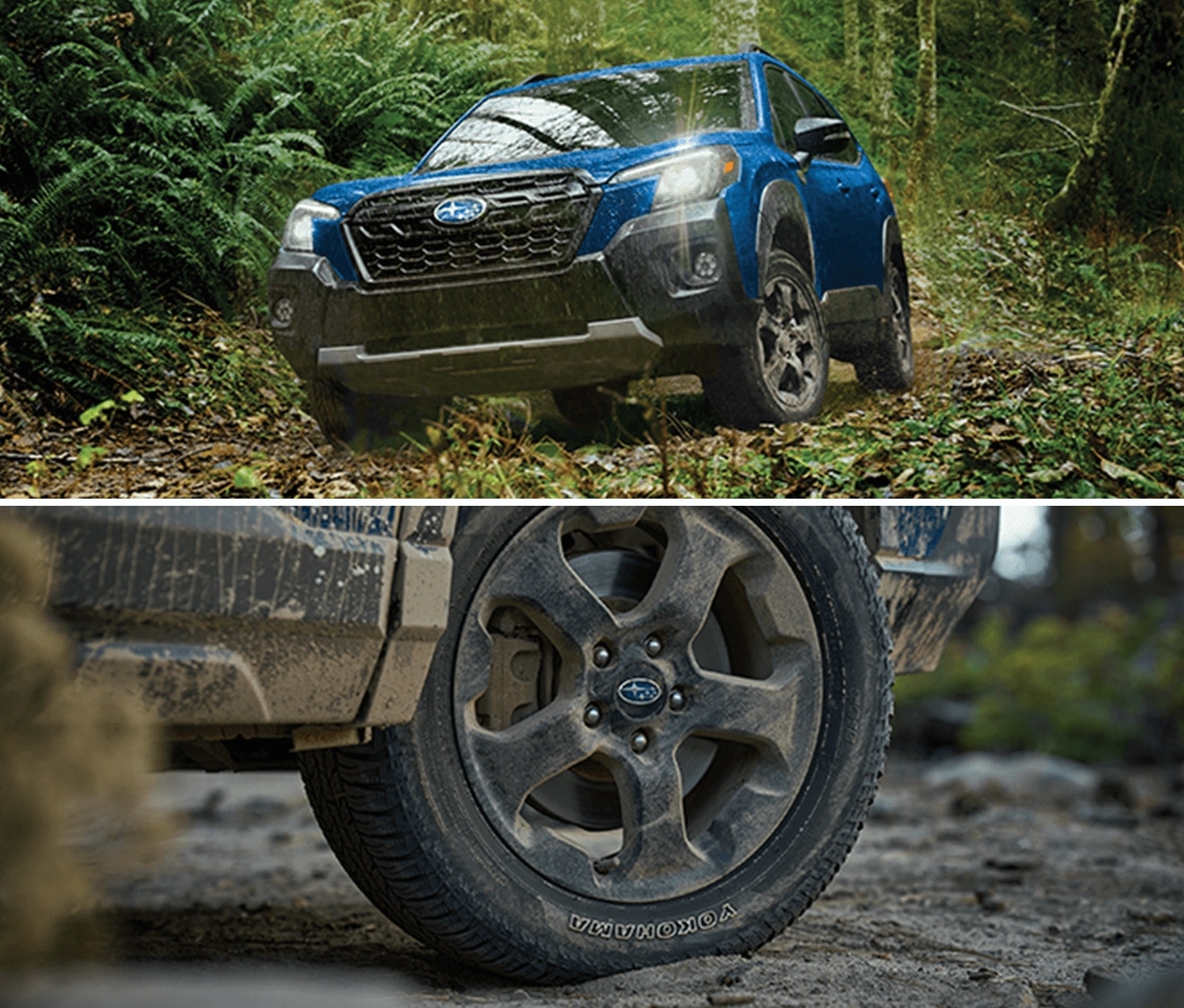 2023 Subaru Forester Wilderness Specs