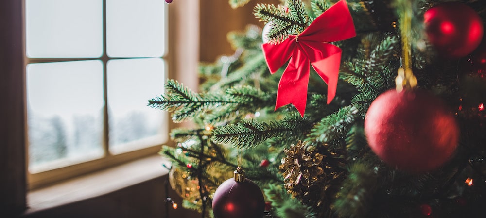 Christmas Tree by Window