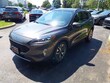  Ford Escape Hybrid