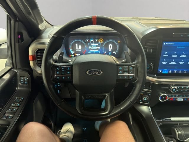 2022 Ford F-150 Raptor - Photo 3