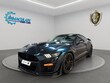  Ford Mustang Shelby GT500