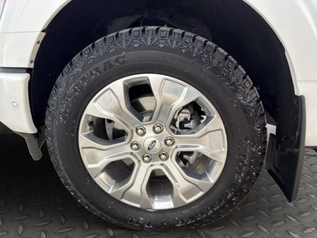2023 Ford F-150 Platinum - Photo 23