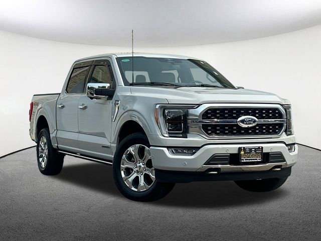 2023 Ford F-150 XLT photo 2