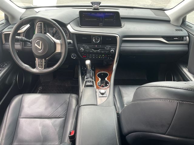 View 20