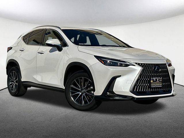 2024 Lexus NX 350 photo 2