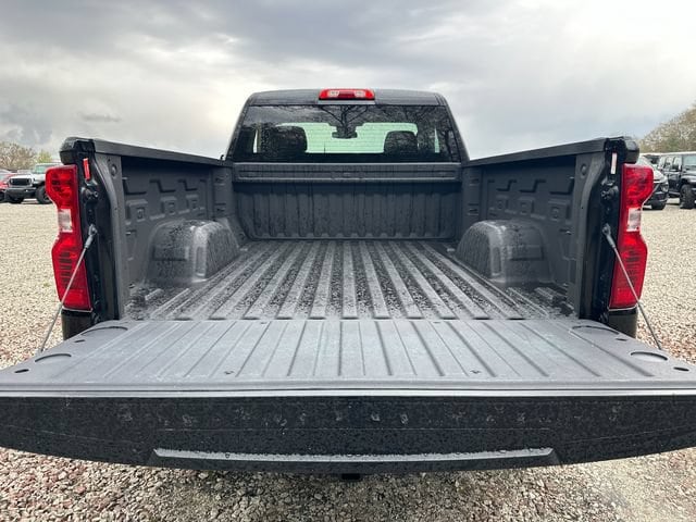 2025 Chevrolet Silverado 1500 Work Truck - Photo 12
