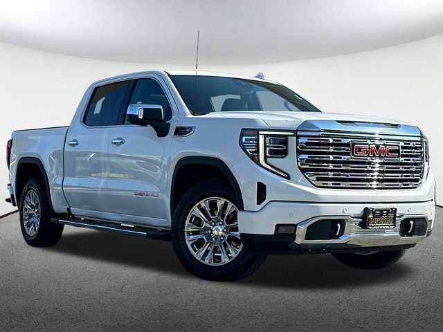 2022 Gmc Sierra 1500 Denali photo 2