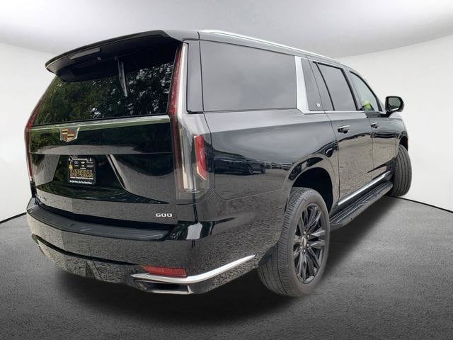 2024 Cadillac Escalade ESV Premium Luxury - Photo 13