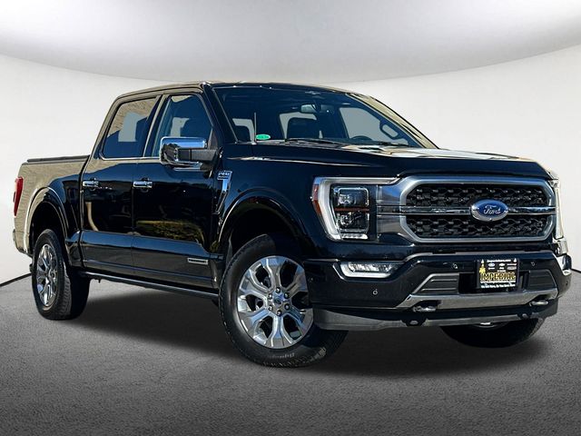 2023 Ford F-150 Platinum photo 2